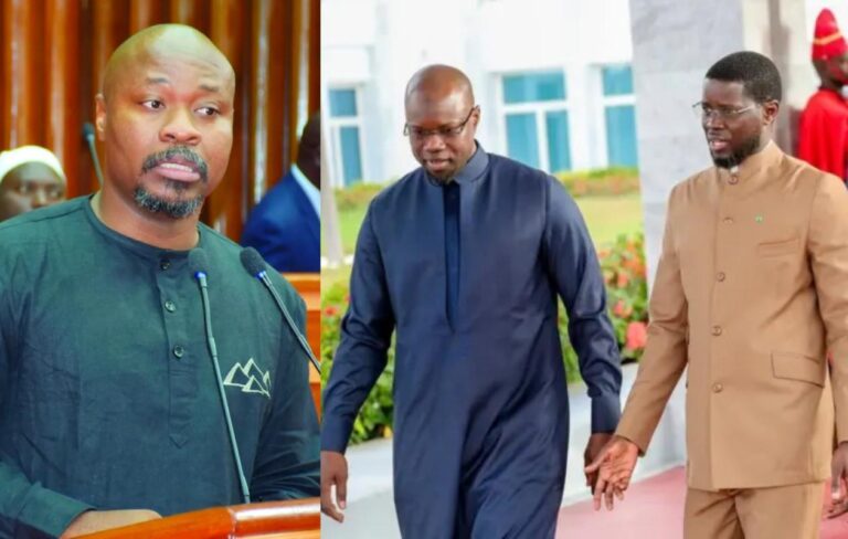 « Président légal, légitime » : La réplique sèche de Guy Marius Sagna aux « coulounas »