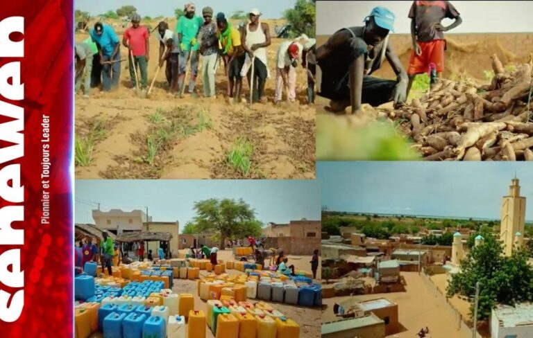 Diokhor île : oasis en détresse sur le lac de Guiers