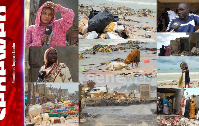 Érosion côtière : À Thiaroye-sur-mer et à Yarakh, la mer ronge maisons et espoirs