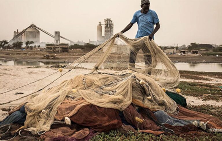 Pêche artisanale : Le Ghana montre la voie, le Sénégal interpellé