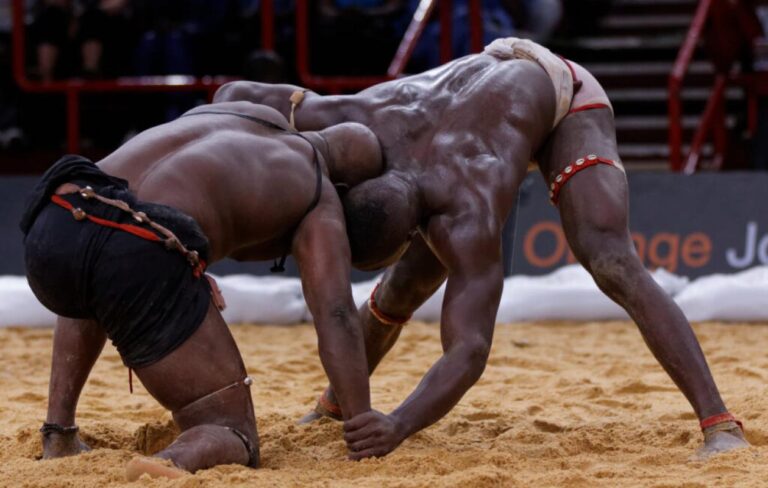 Lutte : les contours de la nouvelle fédération dévoilés