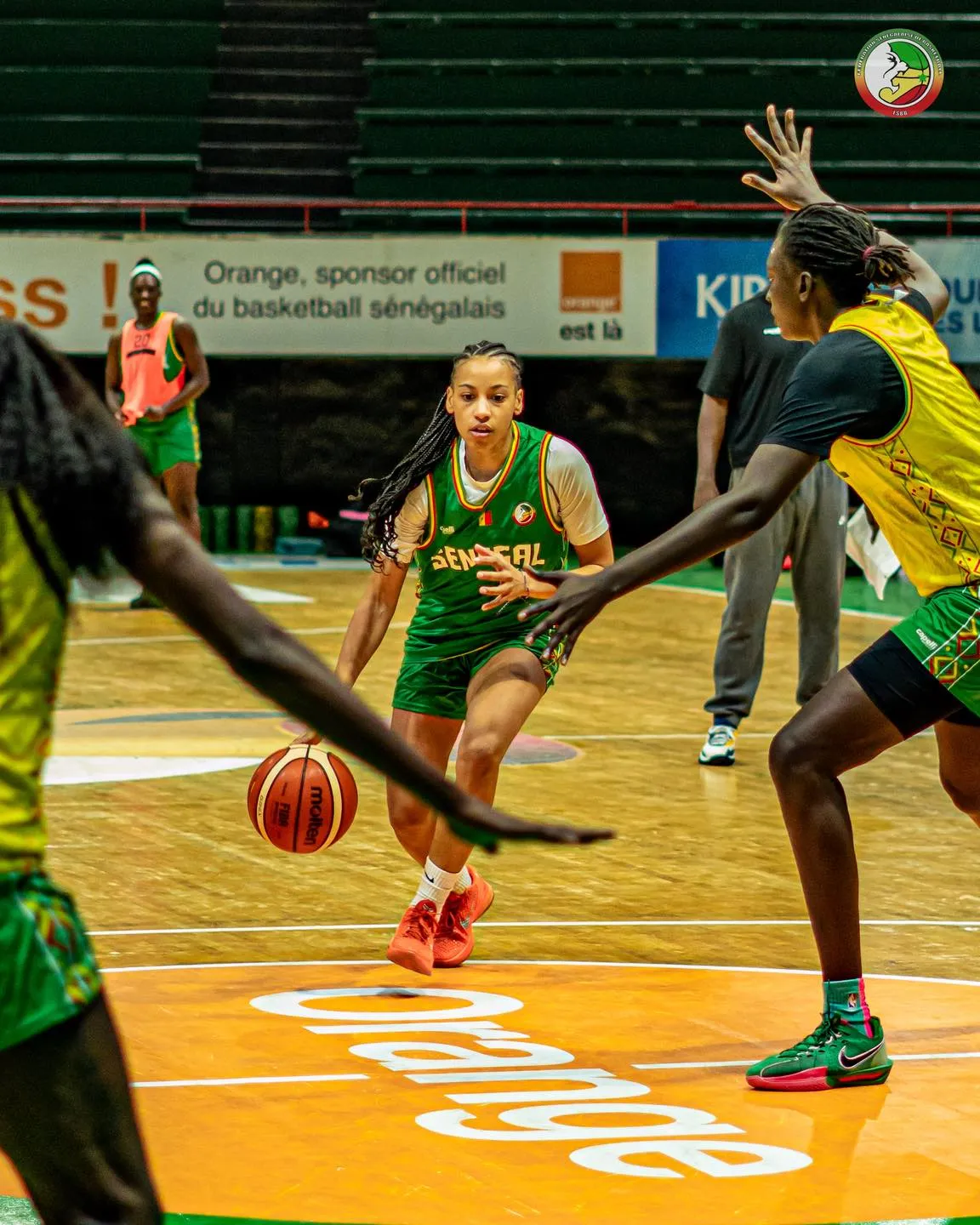 Tournoi qualificatif à la coupe du monde : les Lionnes quittent Dakar, aujourd’hui, pour Porto Rico