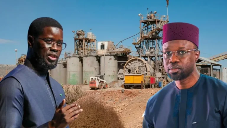 Récoltes record et virage industriel : l’An II agricole du gouvernement Sonko