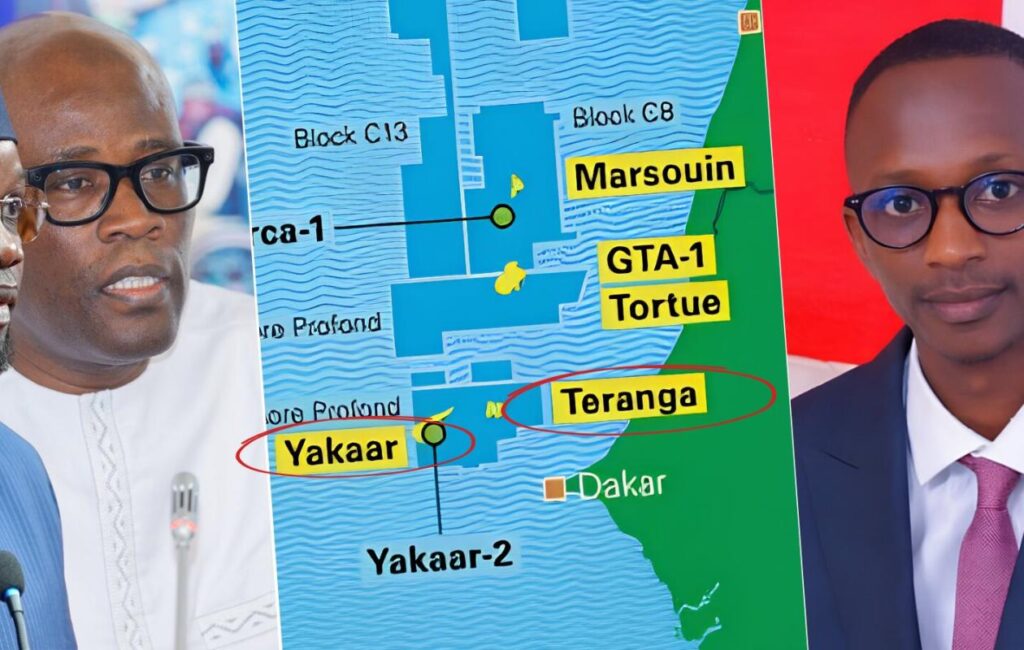 Yakaar Teranga, ce qui attend l’Etat et Petrosen, les opportunités qui s’annoncent : Les éclairages essentiels de Malick Dramé (Expert pétrolier)