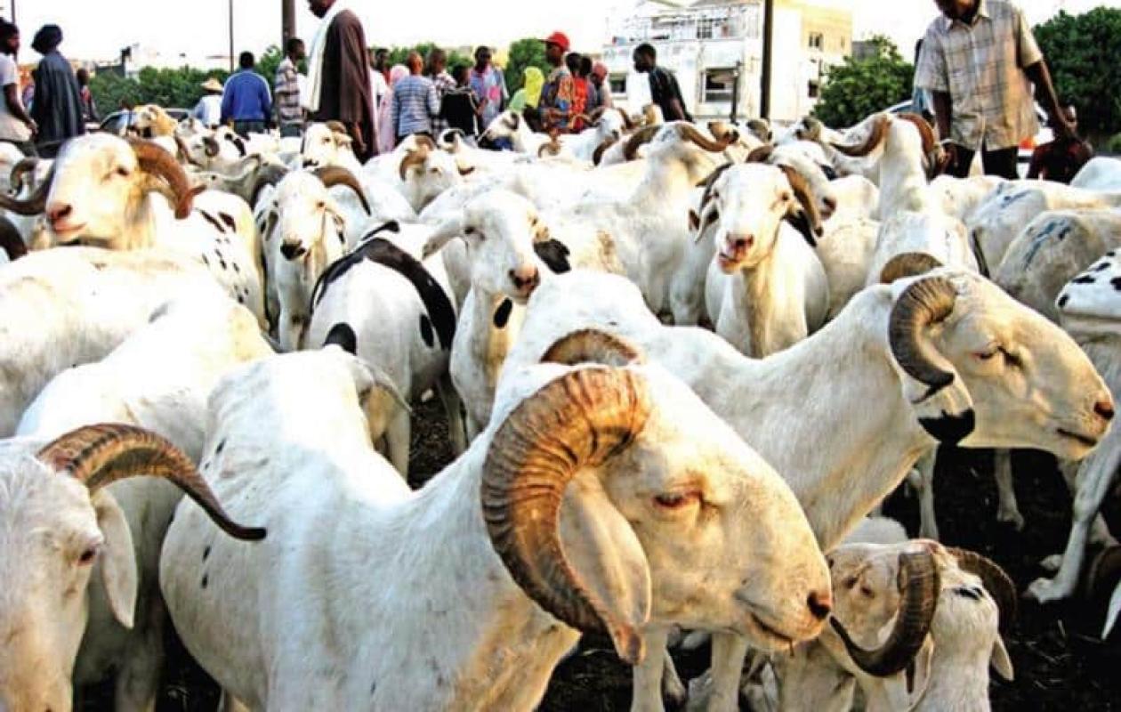 Date de la tabaski : L’annonce de la Commission nationale