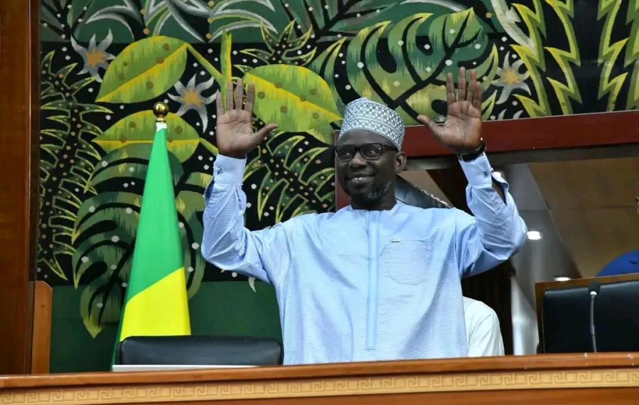Assemblée nationale : Ismaïla Diallo démissionne de son poste de 1er Vice-Président